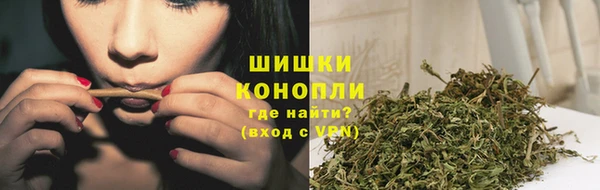 ГАЛЛЮЦИНОГЕННЫЕ ГРИБЫ Белоозёрский