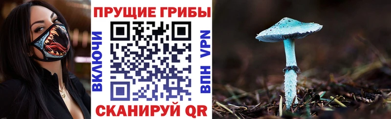 Псилоцибиновые грибы MAGIC MUSHROOMS  где купить   darknet официальный сайт  Краснокаменск 